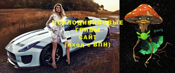 спиды Абдулино