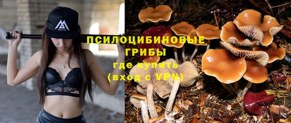 марихуана Горно-Алтайск