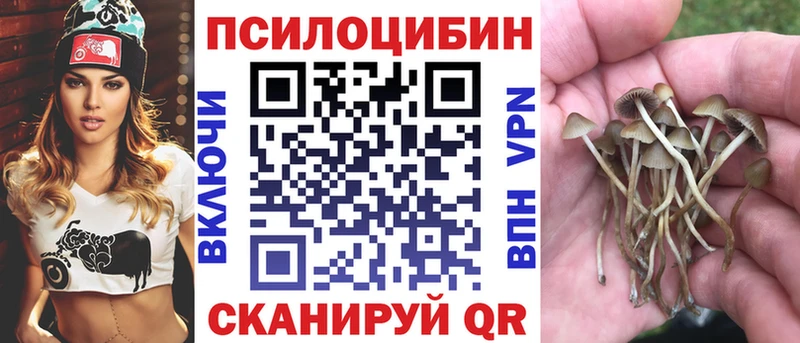 Галлюциногенные грибы Cubensis наркошоп блэк спрут сайт Отрадное