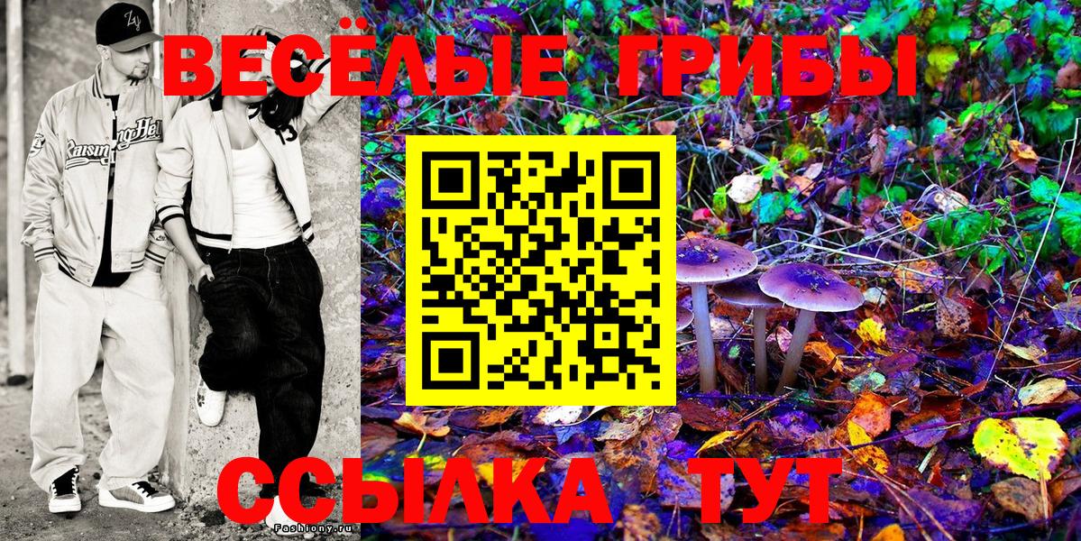 Галлюциногенные грибы GOLDEN TEACHER  Галлюциногенные грибы ЛСД  Отрадное  Вход с VPN 